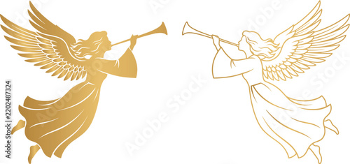 Evergreen Tree Silhouette Vector Illustration