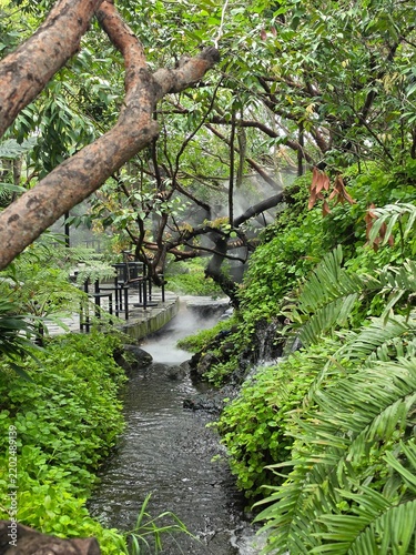 A lush tropical garden cafe with curved wooden decks, black tables, and a misty stream crossed by stepping stones amid dense greenery.