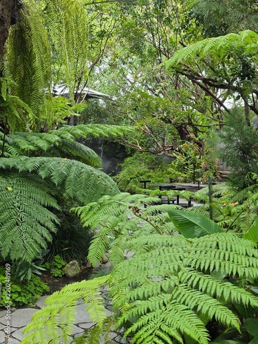 A lush tropical garden cafe with curved wooden decks, black tables, and a misty stream crossed by stepping stones amid dense greenery.