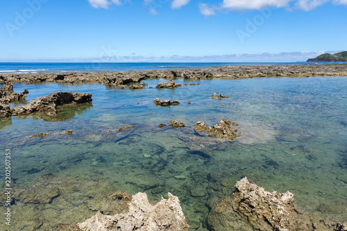 透明度が高いので魚影がはっきり見える熱帯魚の家