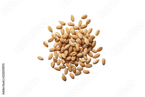Pile of Golden Barley Grains