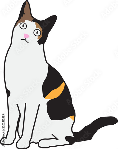 삼색고양이