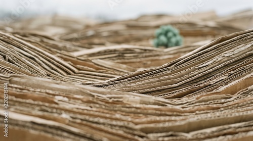 Stacked corrugated cardboard sheets forming landscape with small green plant. Concept of sustainable packaging and eco conscious shopping habits.