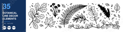 Botanical Line Decor Elements, Hand-Drawn Leaves and Flowers, Vintage Style Illustration