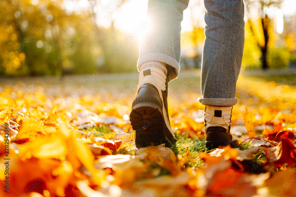 Fototapeta premium Сlose-up shot shows feet in hiking boots walking along forest path covered in fallen orange leaves. Hiker's feet walking through autumn forest at sunset. Concept of seasonality, footsteps.