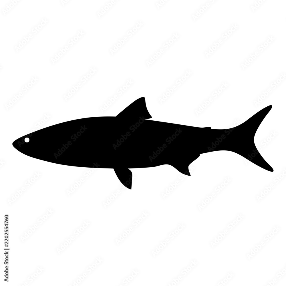 Obraz premium Black silhouette shark swimming graphic - Sleek black silhouette of a shark swimming in a clean, minimalist style. Perfect for marine, underwater, or nature-themed designs.