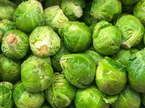View of fresh green Brussels sprouts with tightly packed leaves and vibrant color in California City, California, United States.