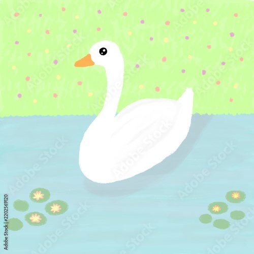 swan in the pond