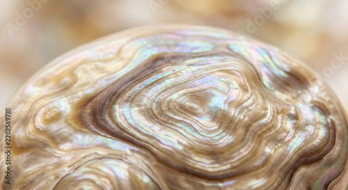 Macro close up of abalone shell texture with soft swirling