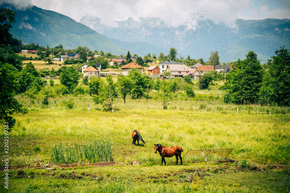 Obraz premium Two brown horses grazing in a beautiful mountain valley near a rural village.