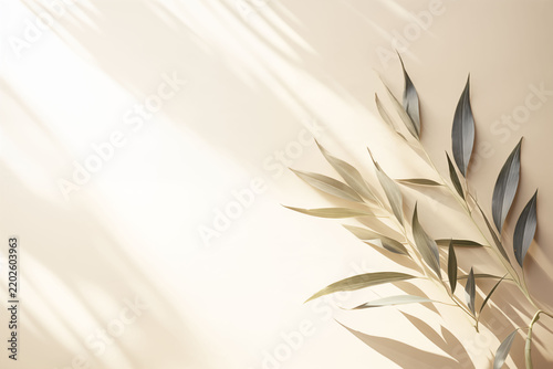 A simple, soft white background with delicate botanical patterns.
