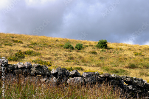 landscape in the mountains, dartmoor, devon