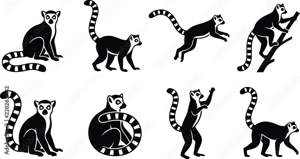 Obraz premium Ring tailed lemur icon set with striped tail climbing and wildlife design