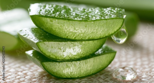 Fresh Aloe Vera Slices with Gel and Water Droplets Close Up