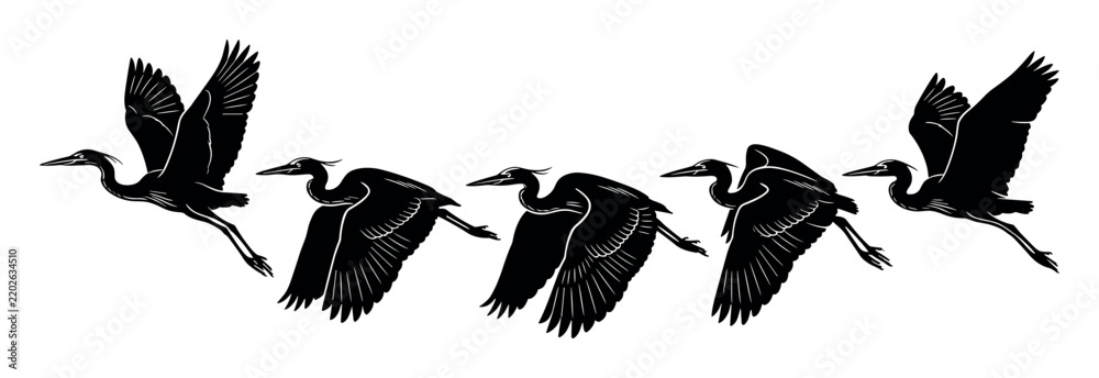 Fototapeta premium Birdlife and migration vector illustration with flying birds wings and feathers for marketing in vector art