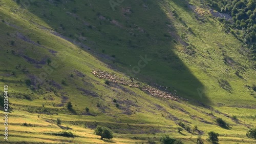 Sheeps grazing on a rocky hillside on a sunny day with clouds drifting across the sky.