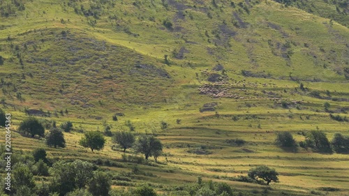 Sheeps grazing on a rocky hillside on a sunny day with clouds drifting across the sky.