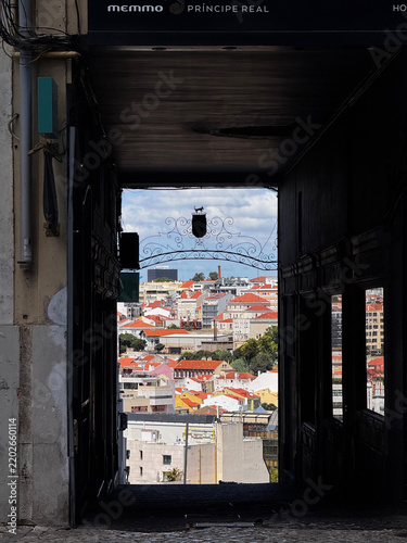 Картината върху платно Lisbon rooftops framed by a shadowed passageway in Portugal