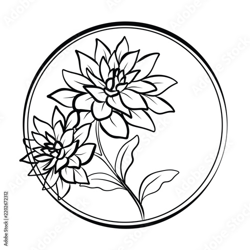 beautiful flowers with leafs circular decoration vector illustration design