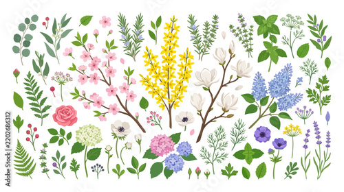 Botanical Collection: Vibrant Spring Flowers and Greenery Illustration