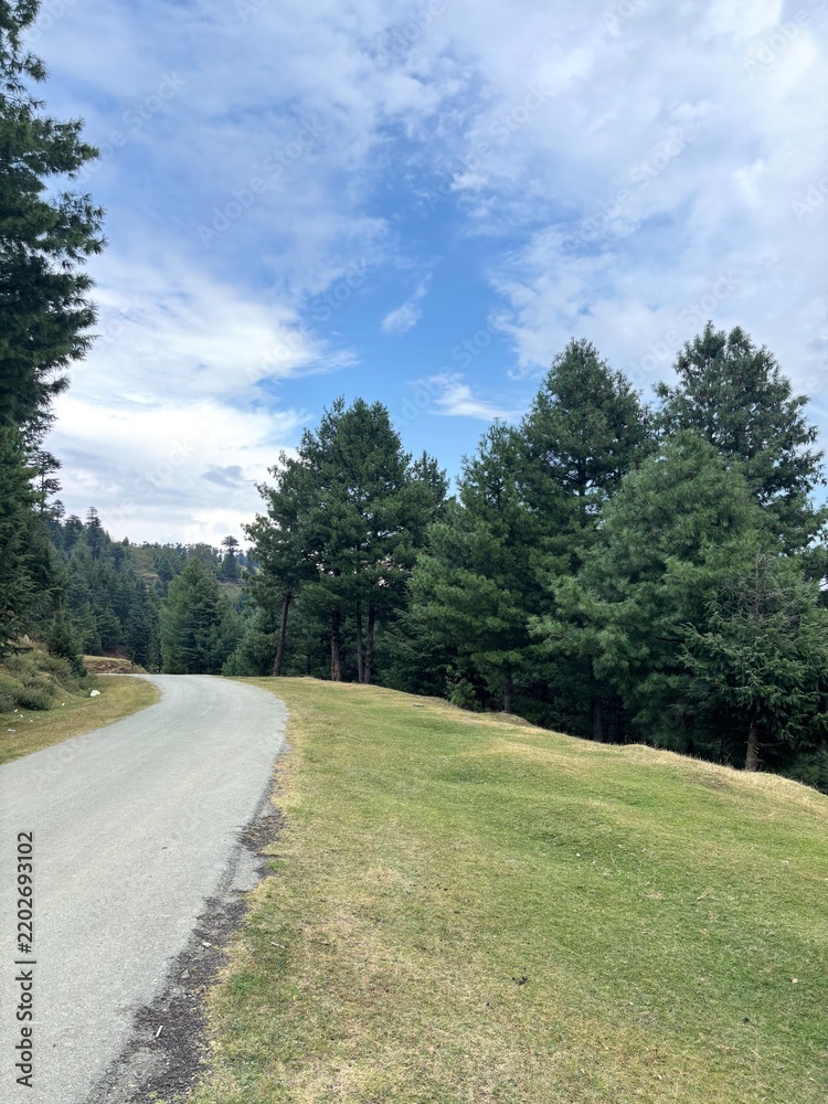 Obraz premium Road through mountains and forest in hajibal Kashmir