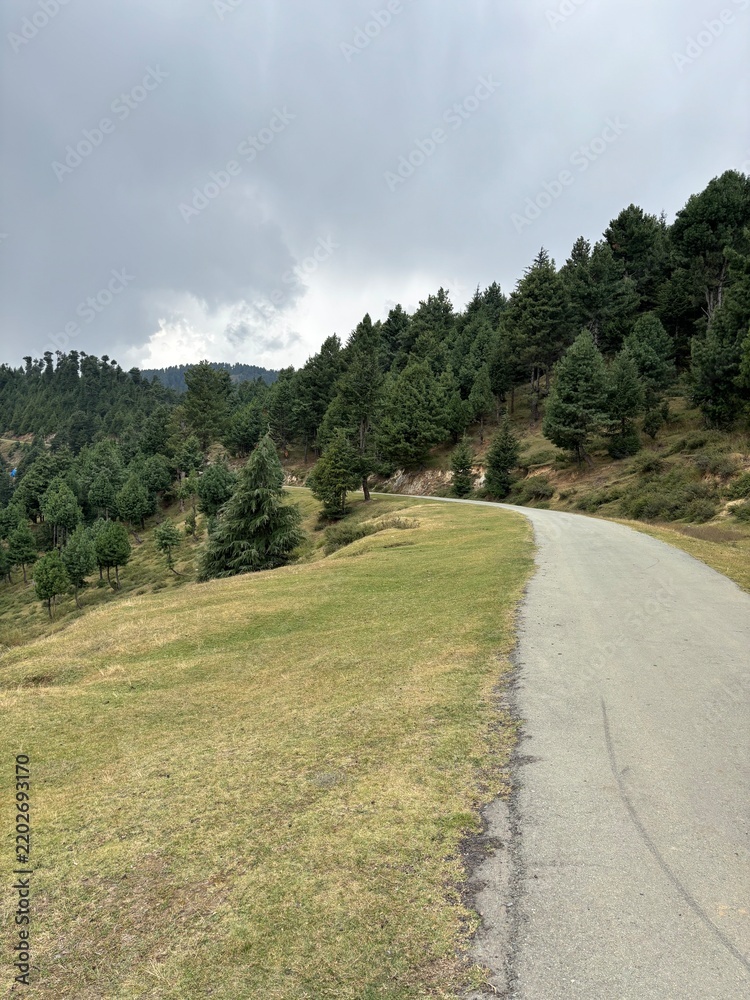 Obraz premium Road through mountains and forest in hajibal Kashmir