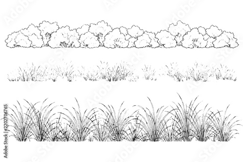 Minimal Grass CAD Collection – Architectural Ground Cover and Landscape Elevation