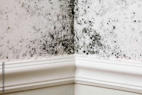 Black mould and fungus on wall near window. The problem of ventilation, dampness, cold in the apartment. Mold spots in the corner of white walls. Spores thrive on moisture quickly grow into colonies