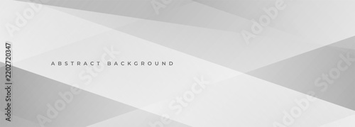 Gray modern abstract wide banner background with transparent geometric shapes. Soft grey vector illustration