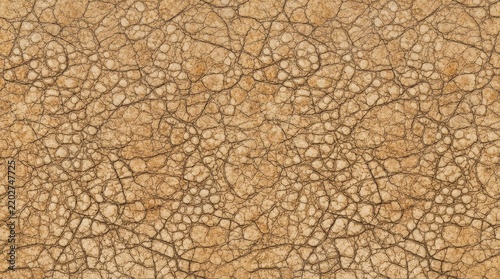 Seamless cracked earth texture background