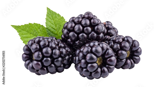 Fresh Blackberries with Green Leaves Isolated PNG on Transparent Background, Healthy Summer Fruit