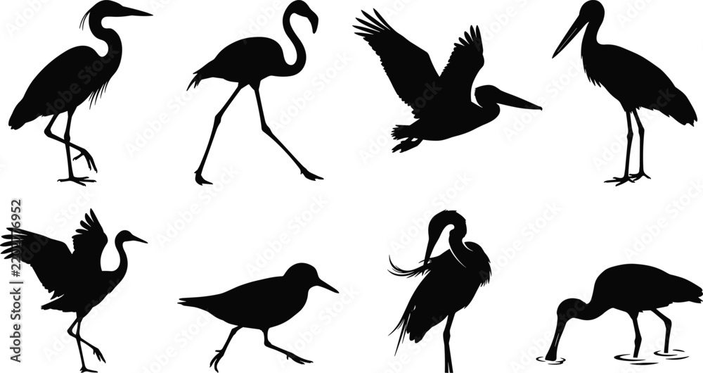 Obraz premium Set of black silhouettes of waterbirds and wading birds featuring herons, flamingos, and pelicans on isolated white background