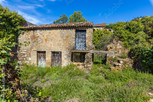 An old stone house is deeply hidden among lush green overgrown bushes