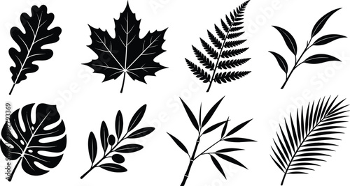 Botanical Tree Leaves and Tropical Foliage Black Silhouette Set