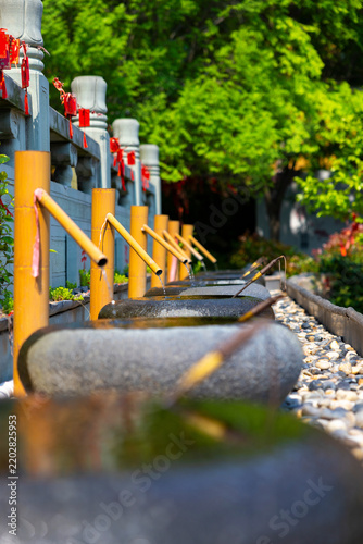 Japanese Shrine Water Basin in a Green Garden