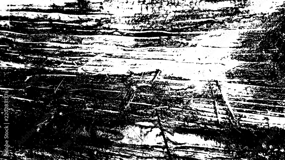 Fototapeta premium Black and white distressed grunge wood bark texture with high contrast linear pattern