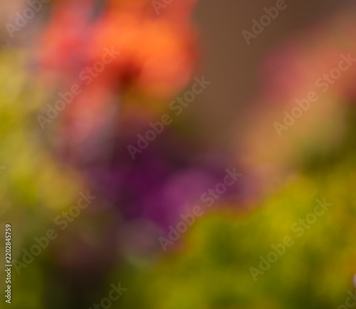Dreamy abstract floral background blends coral, magenta, yellow and green into soft painterly shapes, creating an impressionistic garden scene filled with luminous color.
