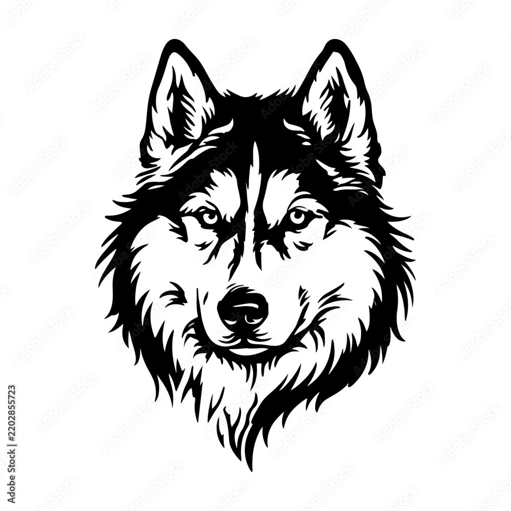 Fototapeta premium Front view wolf head silhouette