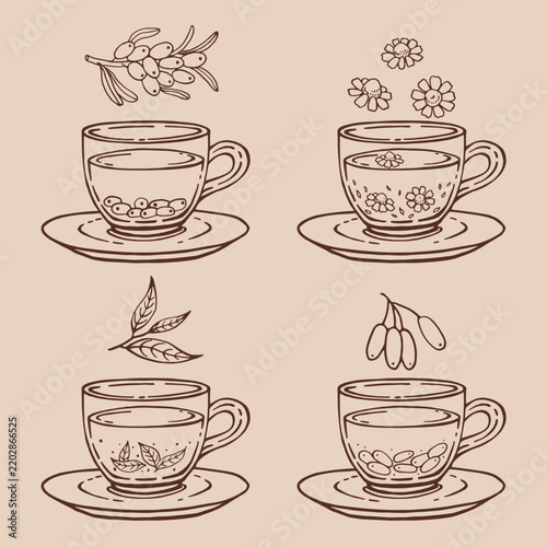 Set glass mugs of tea and saucer. Medicinal tea. Hand drawn vector illustration.