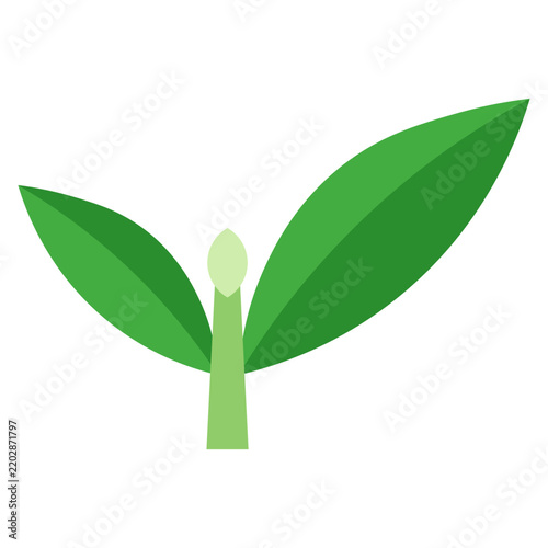 upper leaves with bud flat icon