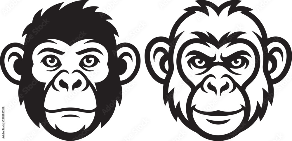 Fototapeta premium Two stylized monkey faces one with fur and one outline black and white background wildlife portrait silhouette illustration monochromatic stylized simplistic minimalist