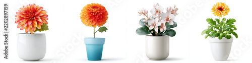 Blooming flower plant pot realistic single object colorful floral arrangement