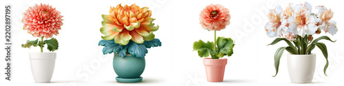 Blooming flower plant pot realistic single object colorful floral arrangement indoor decor