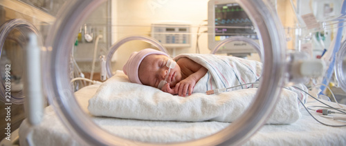 Premature newborn baby girl resting peacefully, representing neonatal care, early birth, infant health, medical support and the delicate first days of life.