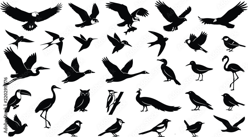 Obraz premium Black and white flying bird silhouettes collection for nature designs