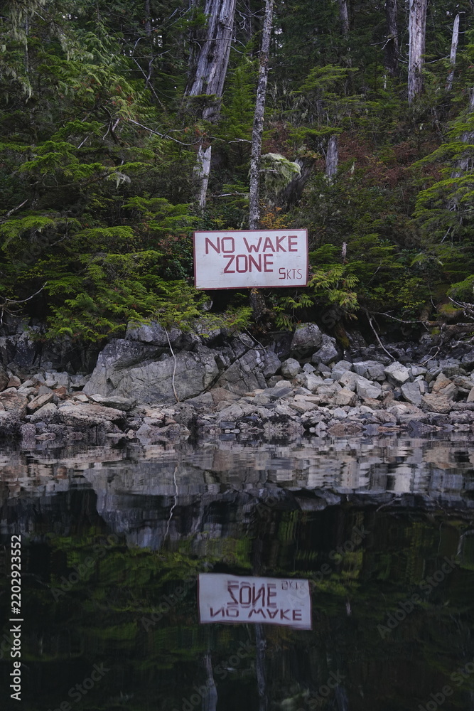 Obraz premium Small warning sign among mossy forest rocks