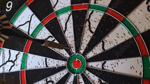 A dartboard with darts. Playing darts, darts.