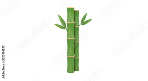 3D Illustration of Green Bamboo Stalks with Fresh Leaves Isolated on White Background