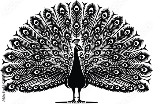 Stylized black and white peacock silhouette with spread tail feathers showing intricate plume patterns and ornamental details, vector graphic isolated on a white background.