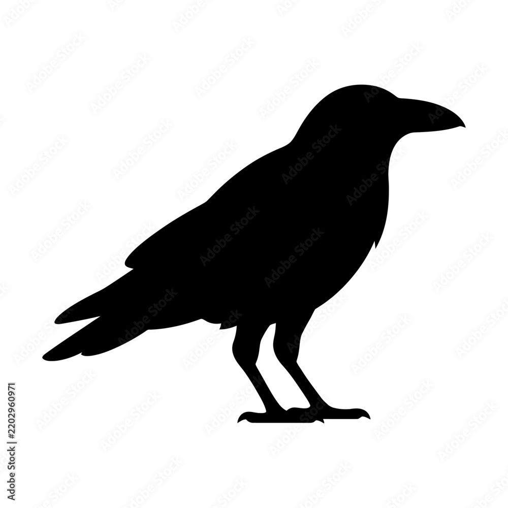 Fototapeta premium Black crow silhouette vector perfect for minimalist designs, greeting cards, or social media posts with transparent